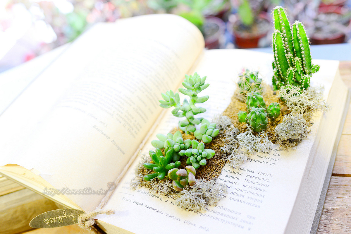 有肉 succulent & gift 店中店 Coffee Sind