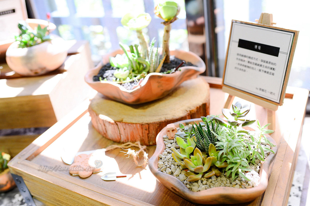 有肉 succulent & gift 店中店 Coffee Sind