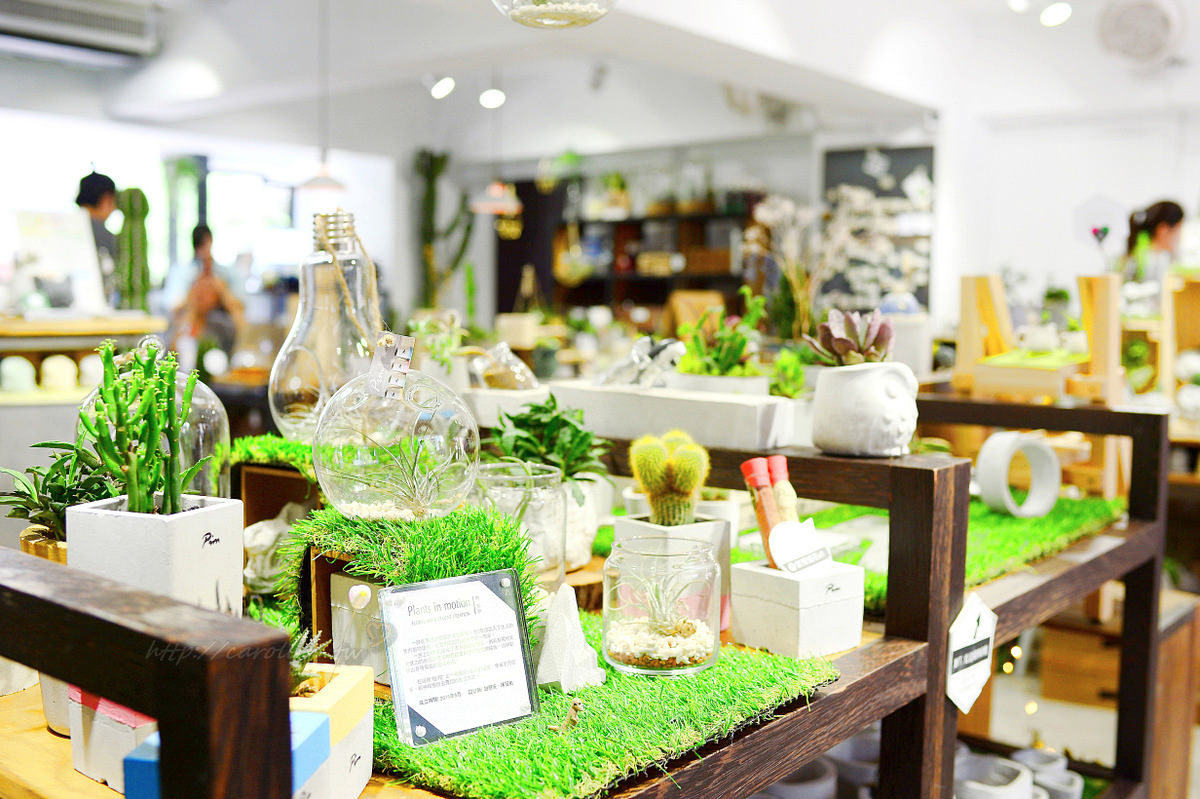 有肉 succulent & gift 店中店 Coffee Sind