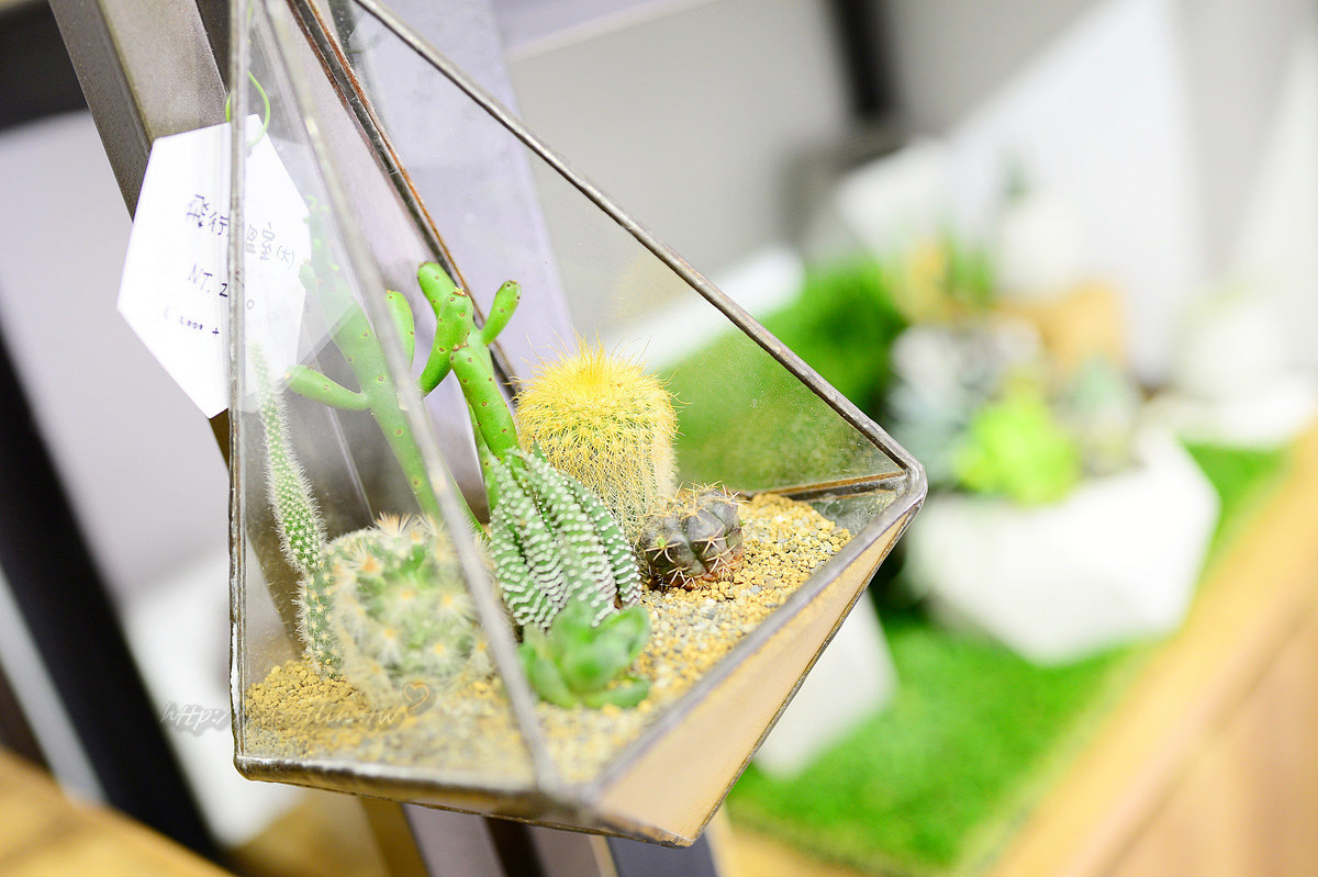 有肉 succulent & gift 店中店 Coffee Sind