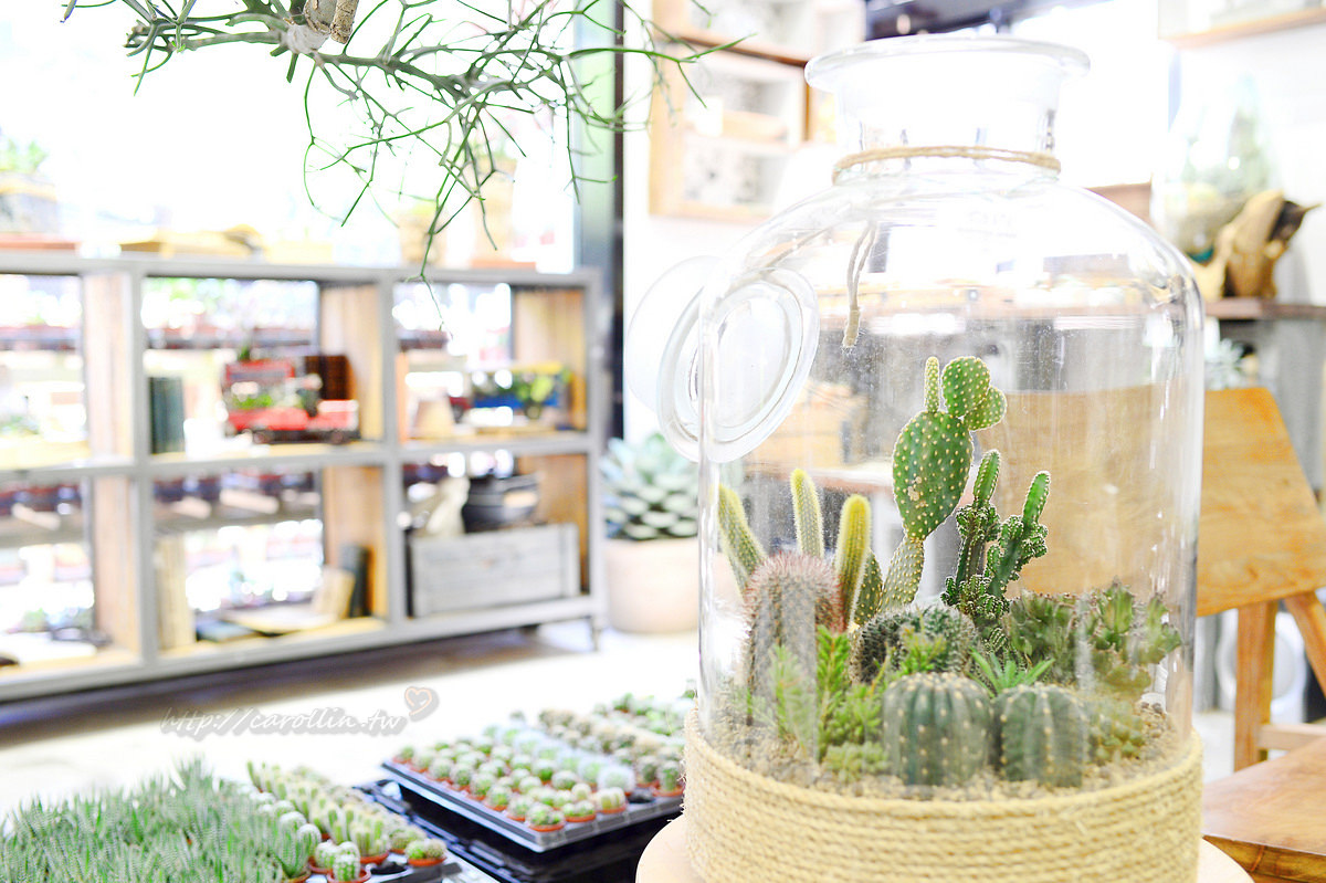 有肉 succulent & gift 店中店 Coffee Sind