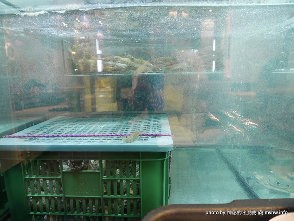 釜山．珍妮佛(文心加盟1號店)：【食記】台中釜山珍妮佛.韓國九層海鮮塔 Pusan Jennifer文心加盟1號店@西屯捷運BRT市政府 : 鮮味滿滿!仙女下凡有看頭？