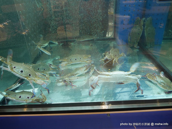 釜山．珍妮佛(文心加盟1號店)：【食記】台中釜山珍妮佛.韓國九層海鮮塔 Pusan Jennifer文心加盟1號店@西屯捷運BRT市政府 : 鮮味滿滿!仙女下凡有看頭？