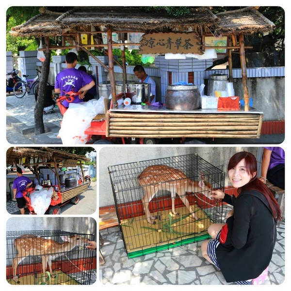 涼心青草茶：【雲林美食】雲林水林涼心青草茶♥遇到小鹿斑比♥五十年的老店