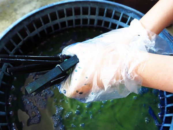 【三峽】三峽藍染工坊DIY-藍染布親子DIY-三峽老街