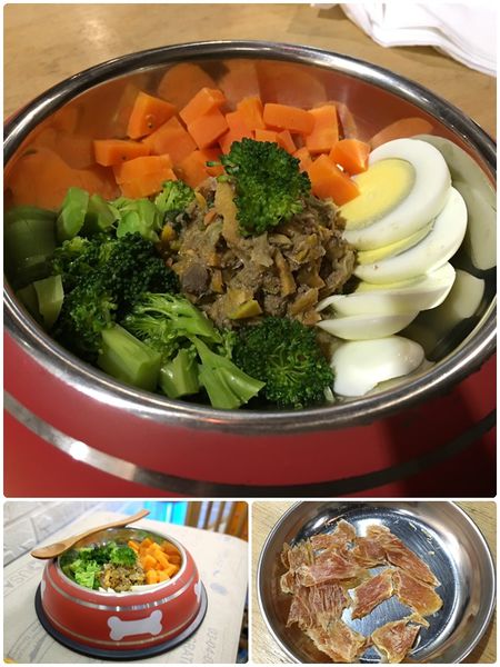 寵物餐.jpg