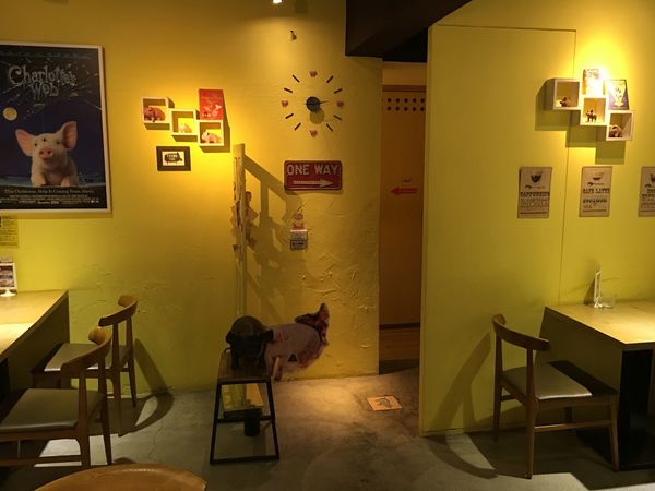 2016-09-02 21.13.19.jpg