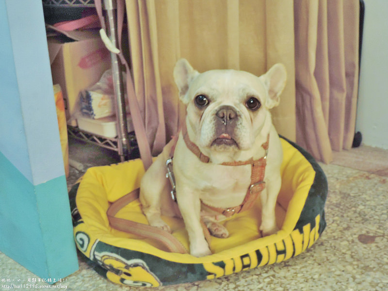 DSCN4387 (2560x1920)