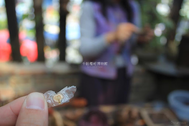 千畦種子博物館-12