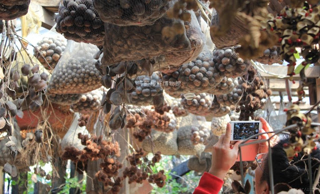 千畦種子博物館-24