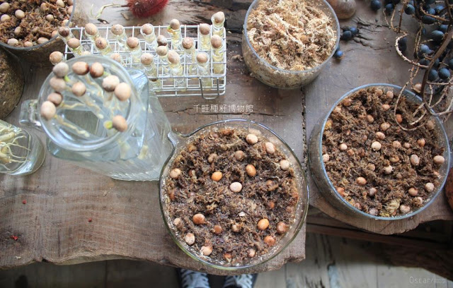 千畦種子博物館-34