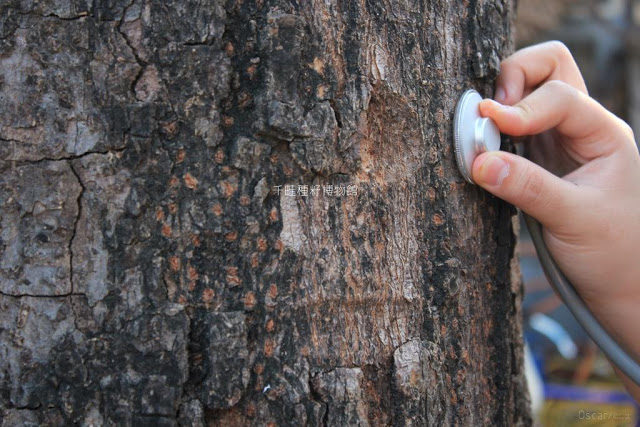 千畦種子博物館-16