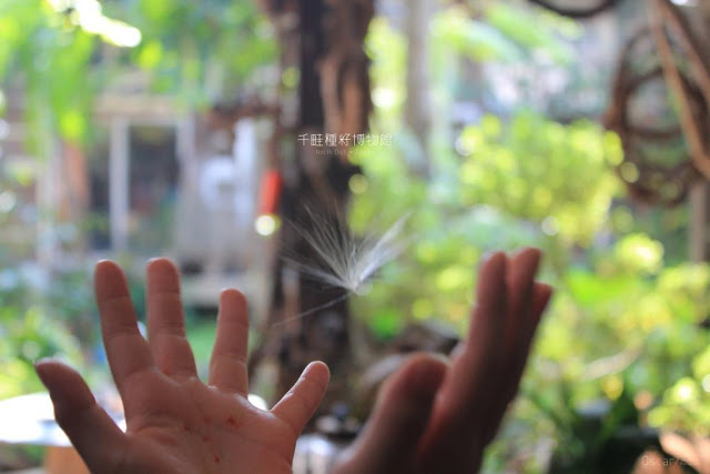 千畦種子博物館-30