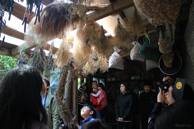 千畦種子博物館-22