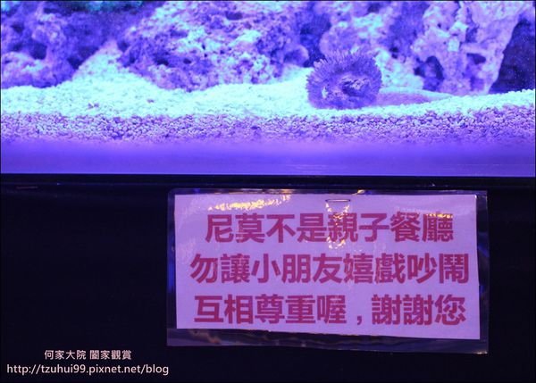 尼莫先生海洋生物主題餐廳 22.JPG
