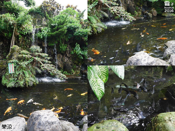 樂涼園藝餐廳：樂涼休閒園藝咖啡餐廳，南投老字號餐飲店~