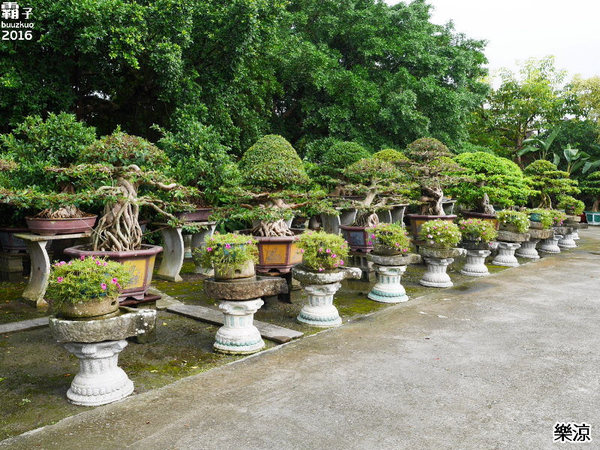 樂涼園藝餐廳：樂涼休閒園藝咖啡餐廳，南投老字號餐飲店~