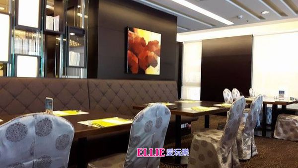 13957036_1155075954513623_1904058724_n