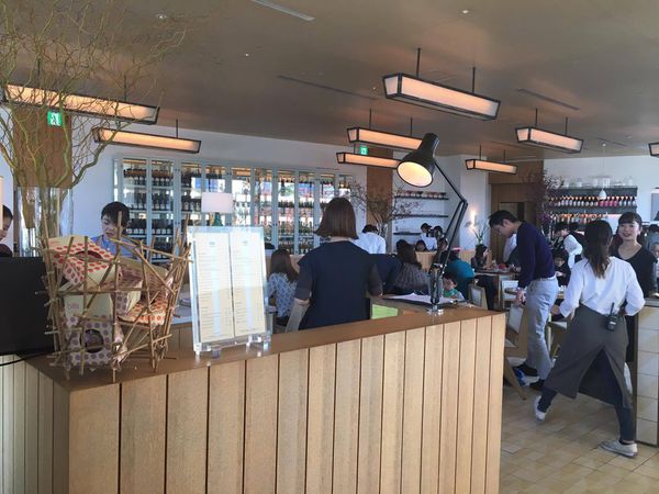 15303843_10207753103409763_432220323_o