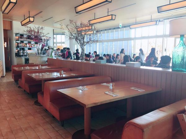 15311630_10207753102809748_644074366_o