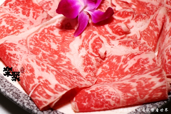 樂聚:板橋火鍋『樂聚鍋物』涮涮鍋/痛風蝦蝦鍋