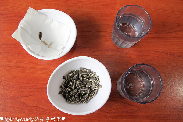 茶自點複合式餐飲:『雲林斗六_茶自點斗六旗艦店』招牌1000cc珍珠奶茶、1人也可以享用的鴛鴦鍋!