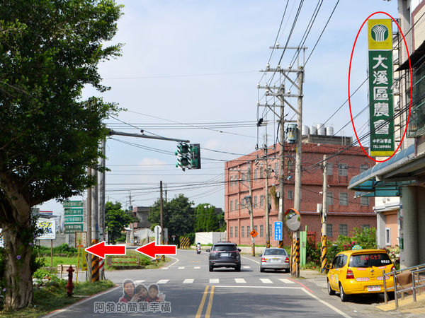 中新里韭菜花海01-大鶯路1320巷