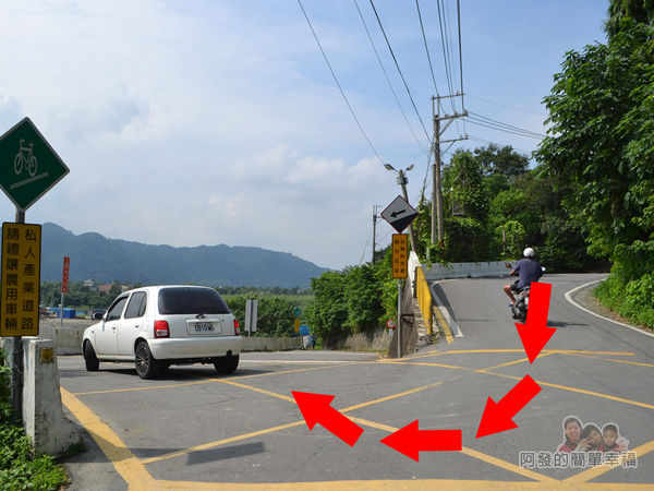 中新里韭菜花海03-韭菜生產專業區的U型彎II