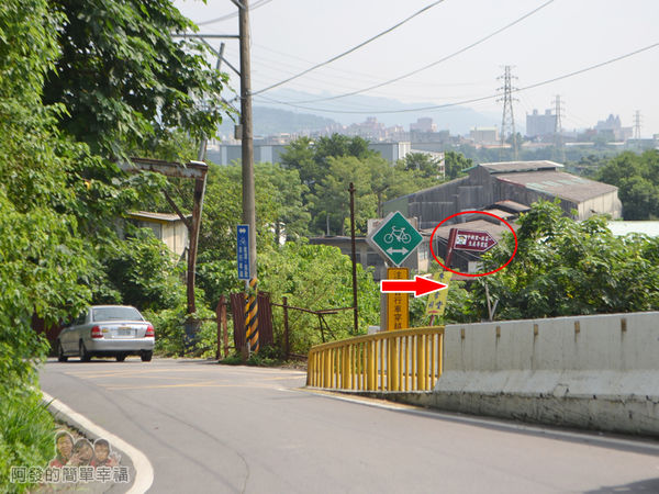 中新里韭菜花海02-往中新里-韭菜生產專業區的U型彎