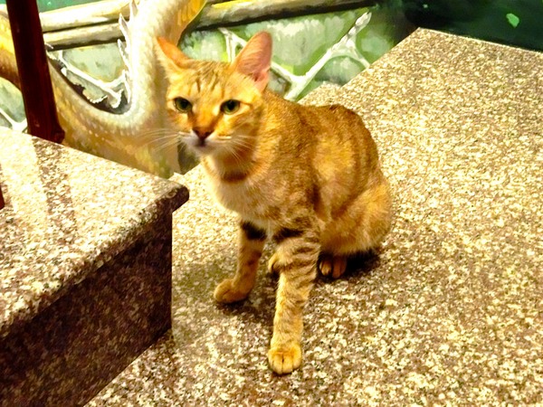 墾丁9453旅店：墾丁9453旅店