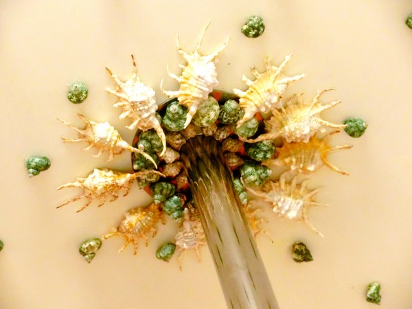 墾丁9453旅店：墾丁9453旅店