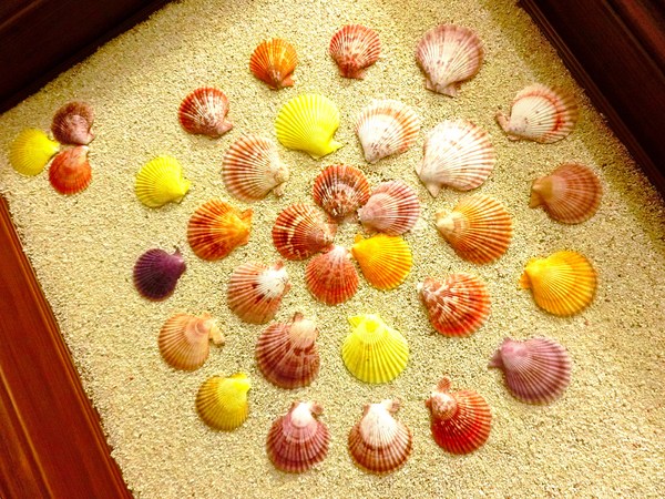 墾丁9453旅店：墾丁9453旅店