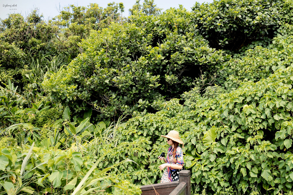 三貂角與鼻頭角的雙燈塔大探索