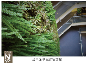 台中逢甲葉綠宿