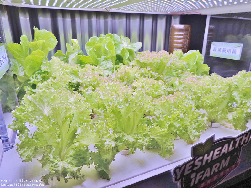 DSCN4181 (2000x1500)