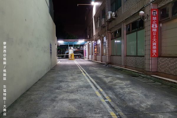 【桃園/桃園區】生猛特區(大興店)