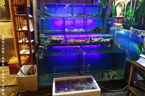 【桃園/桃園區】生猛特區(大興店)