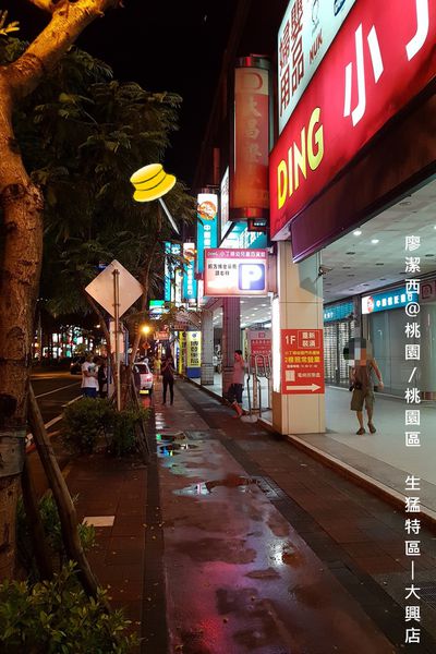 【桃園/桃園區】生猛特區(大興店)