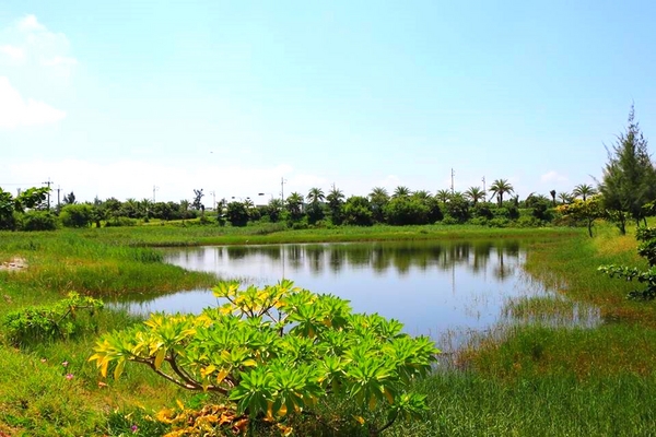 州南鹽場：【嘉義景點】布袋州南鹽場~體驗日曬鹽的樂趣，既有教育及娛樂性質，不錯的旅遊景點