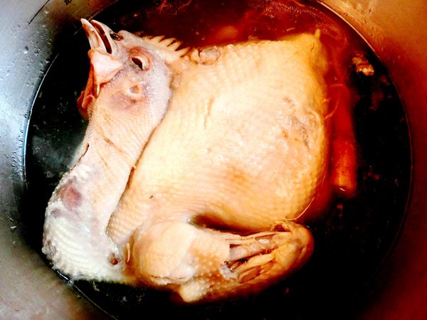 立瑞畜產:立瑞畜產 放漫穀雞系列組合