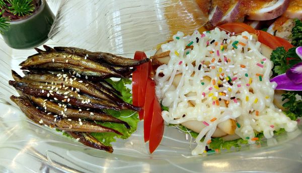 朴子/新風味日式平價料理