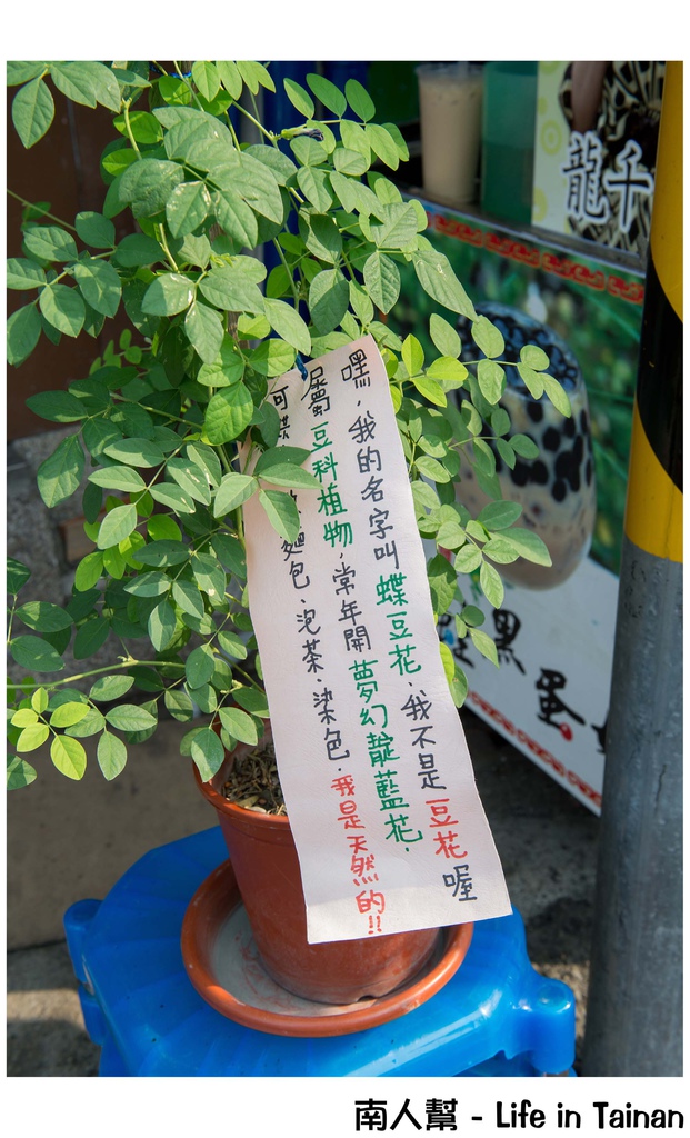 青蛙黑蛋奶安平店