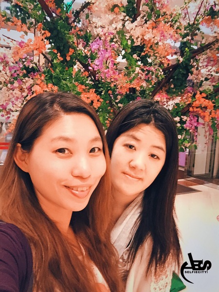 江原道韓式料理(京華城美食街)：[台北松山區食記] 深藏在京華城美食街的江原道韓式料理*血拚完/看電影的最佳美食