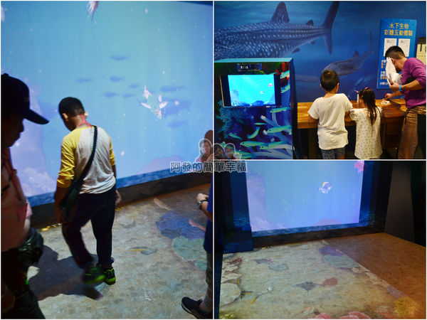 十三行博物館08-海中奧秘特展-組圖