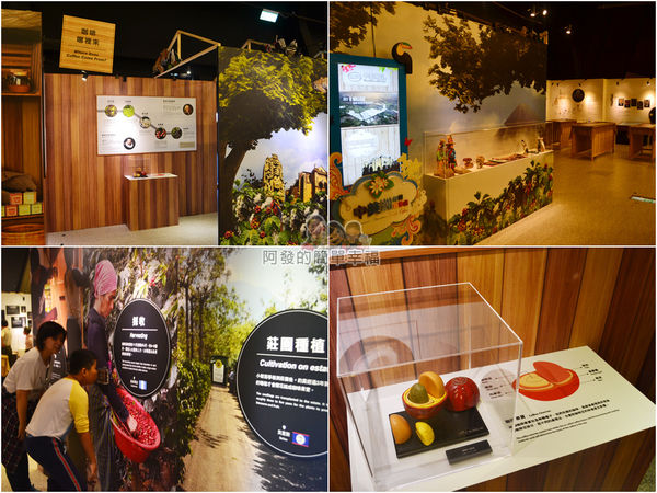 十三行博物館20-咖啡哪裡來-組圖