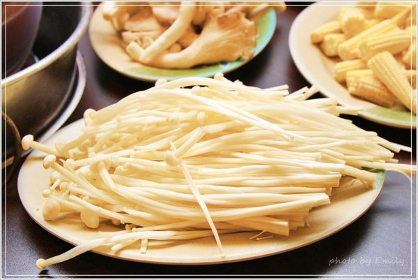 桃園市美食 薑母鴨 (35)