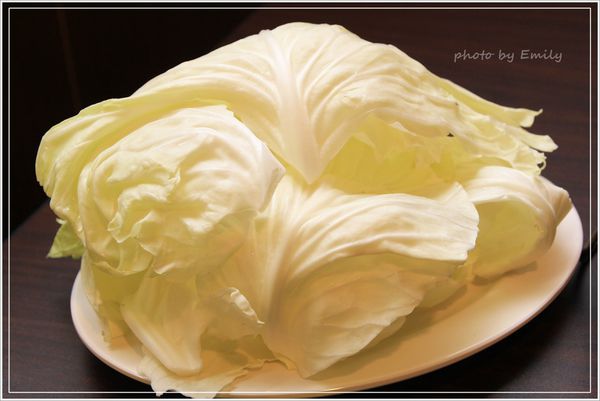 桃園市美食 薑母鴨 (31)