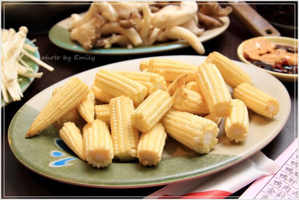 桃園市美食 薑母鴨 (36)