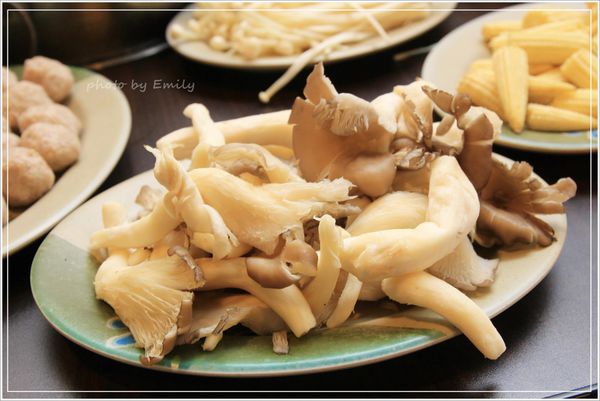 桃園市美食 薑母鴨 (37)