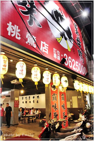 桃園市美食 薑母鴨 (3)